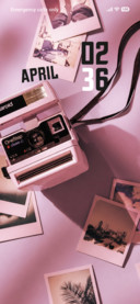 Retro Bloom ?