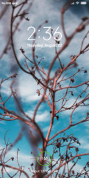 Dead branches
