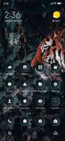 Wild Tiger