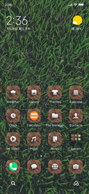 CricketGrass