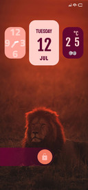 Jungle Lion