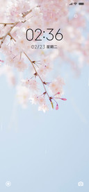 惜春
