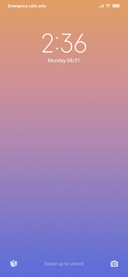 FLUX