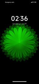 Nice Edition