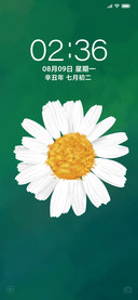 静绿花开 简