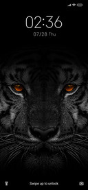 Black Tiger