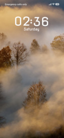 Fog Hill