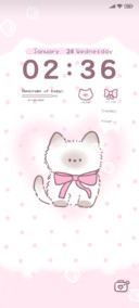 Princess cat