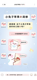 小兔子苹果的简修