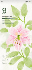 ins百合花