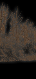 Black-embos tree v10