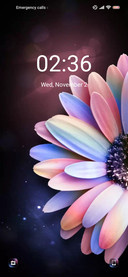 Pink purple flower