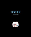 卷卷猫 清凉夏日