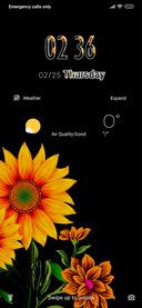 Plant_Sunflower
