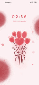 Flower tulip
