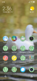 Duck Dreams