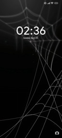 Black V