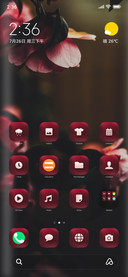 Rose_1