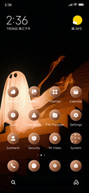 Phantom
