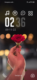 Rose Love