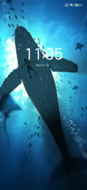 Whale and Sea