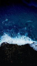 Bird eye