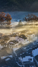 Morning Fog in Village