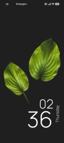 Twin Leaves