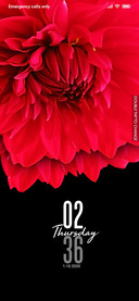 Flower 4_DWM20
