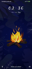 Bonfire_3MDS
