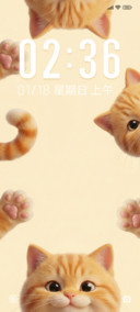 胖橘猫