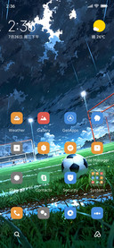 Overcast Football