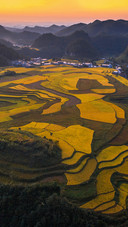 Terraces at dusk 84