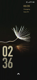 minimal dandelion