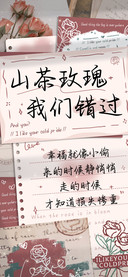 山茶玫瑰我们错过