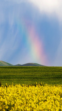 Summer scenery of Zhao Su