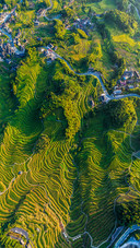 The king of terraced fields in jiangnan