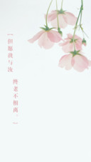 夏初花开