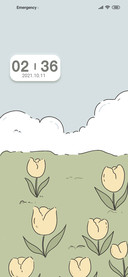 New mimicry tulip