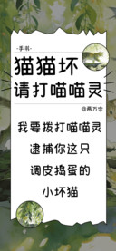 猫猫坏请打喵喵灵