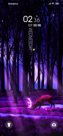 Forest of Illusion