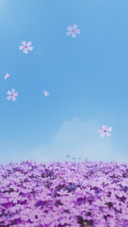 花海
