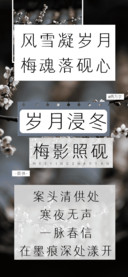 岁月浸冬梅影照砚