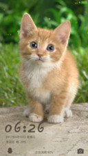 可爱小猫