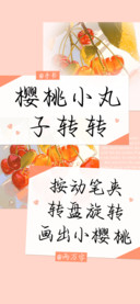 樱桃小丸子转转
