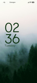 Misty Wildways