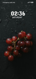Midnight Berries