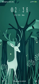 Forest_3MDP