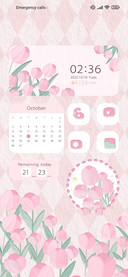 Pink Tulip