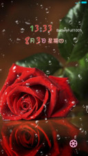 玫瑰娇娇欲滴